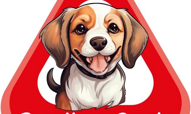 GUIA COMPLETA PARA VIAJAR CON PERROS EN COCHE