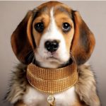 Guia completa del cuidado del pelo de tu perro