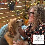 Puede el amor de tu perro poner en riesgo tu salud?